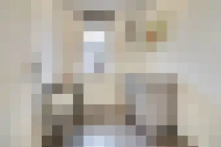 Bleijenhoek 16 B Bladel thumbnail 21
