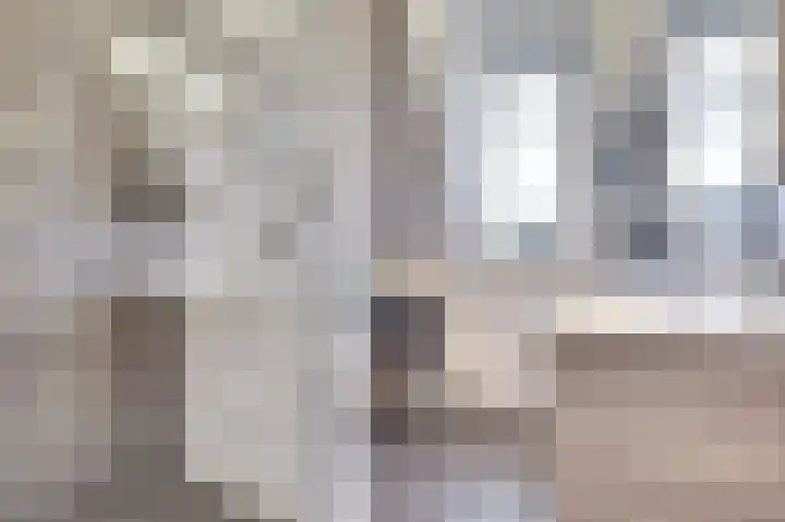 Bleijenhoek 16 B Bladel thumbnail 22