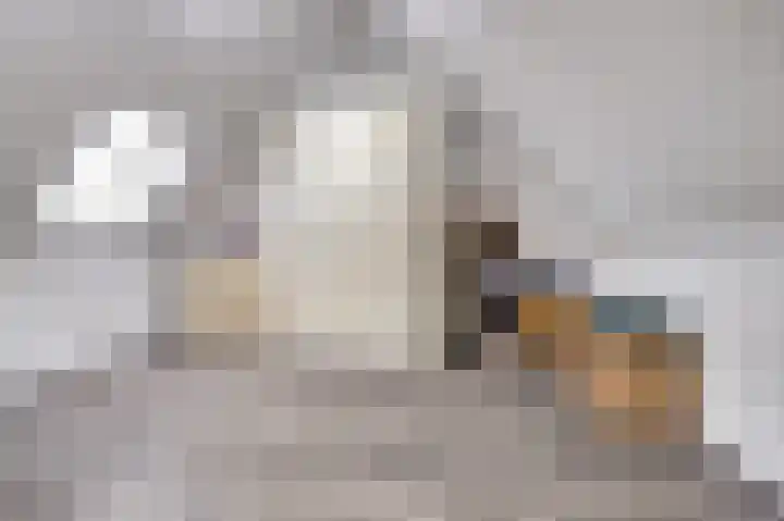 Bleijenhoek 16 B Bladel thumbnail 26