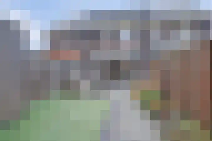 Bleijenhoek 16 B Bladel thumbnail 27