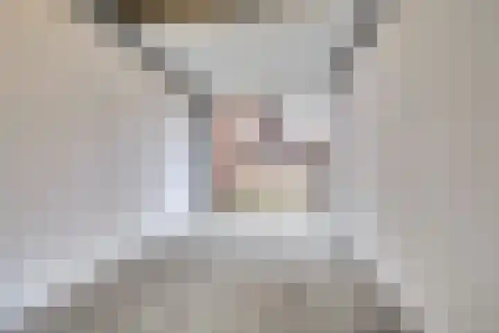 Bleijenhoek 16 B Bladel thumbnail 31