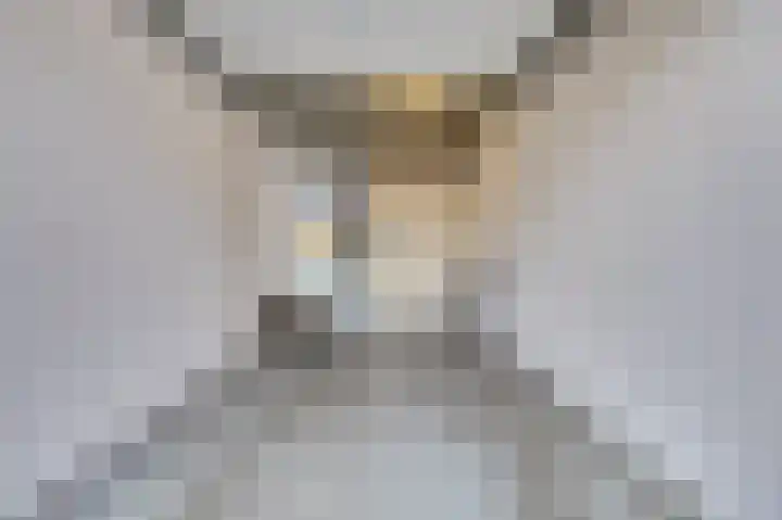 Bleijenhoek 16 B Bladel thumbnail 32