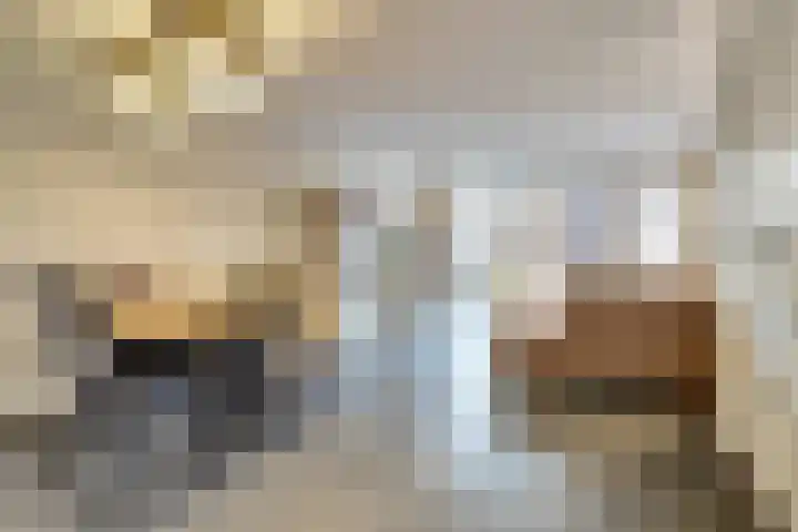 Bleijenhoek 16 B Bladel thumbnail 4