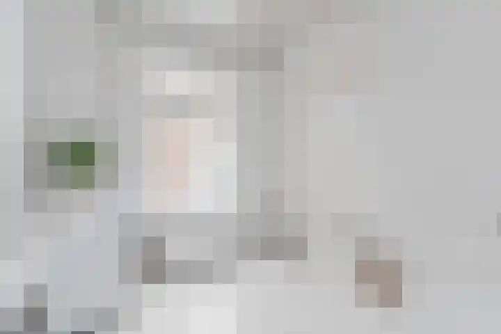 Bleijenhoek 49 B Bladel thumbnail 15