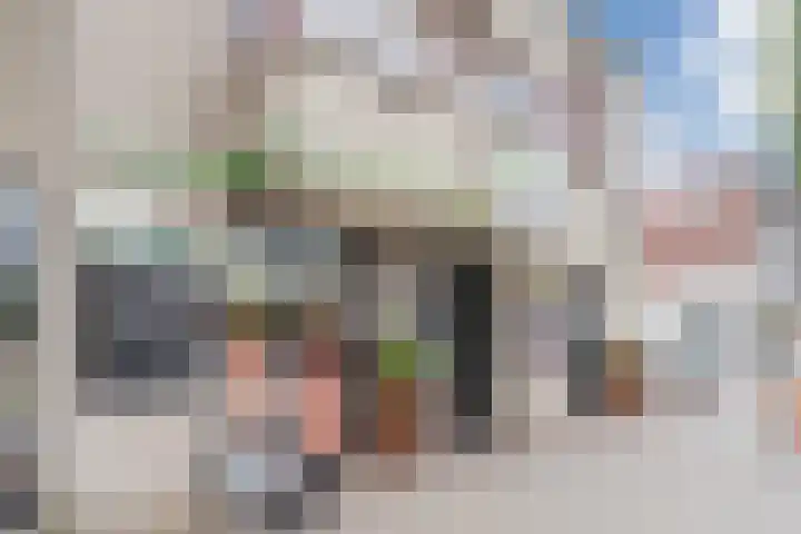 Bleijenhoek 49 B Bladel thumbnail 32