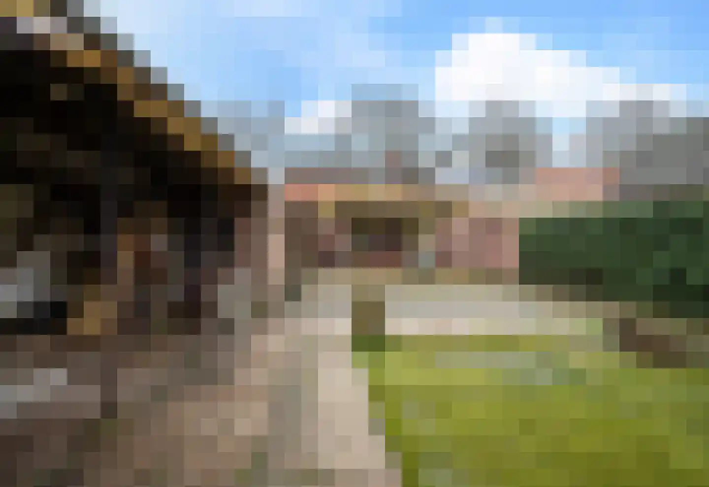 Bleijenhoek 63 Bladel thumbnail 21