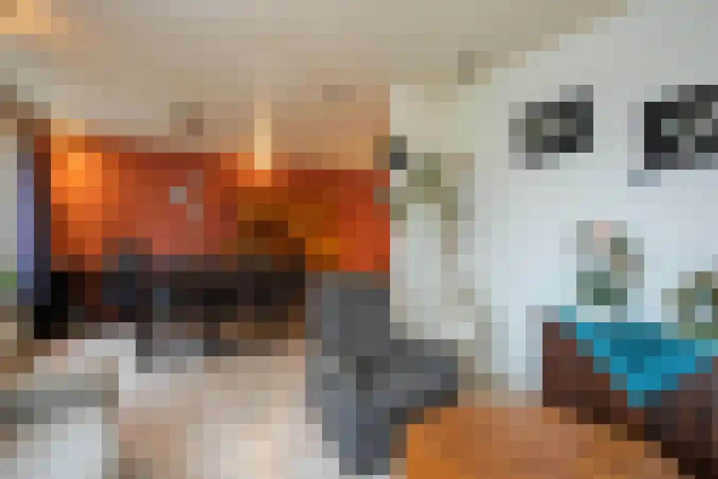 Bleijenhoek 63 Bladel thumbnail 6