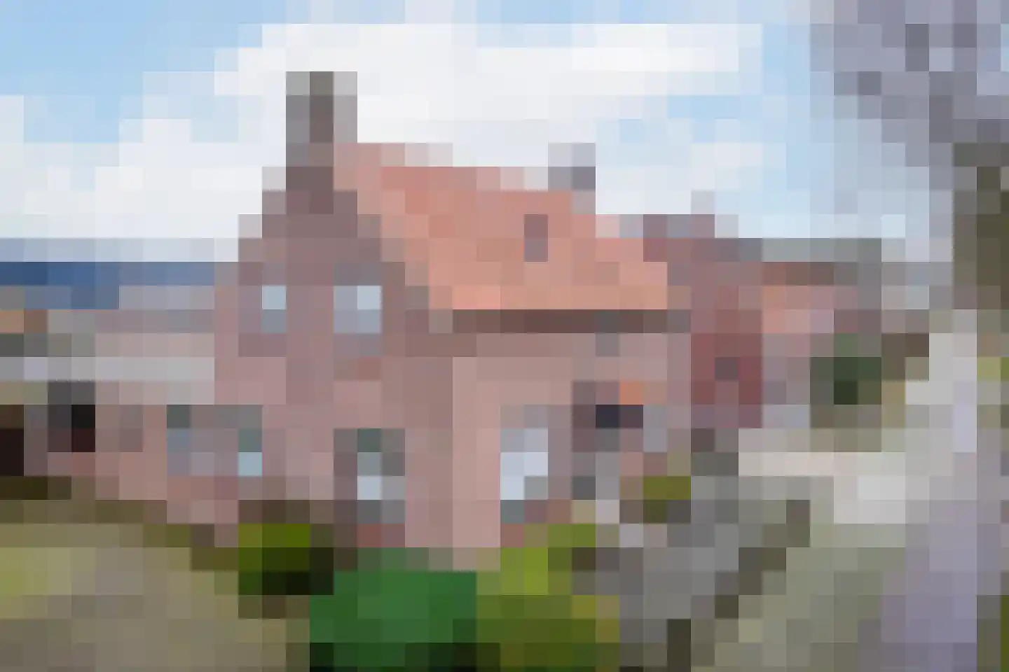 Bleijenhoek 67 Bladel foto 3