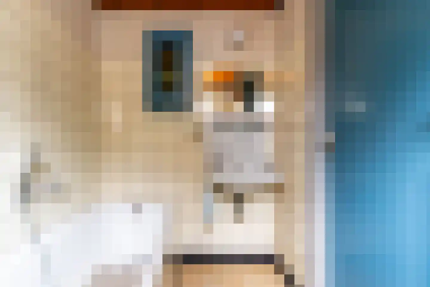 Bleijenhoek 67 Bladel thumbnail 31
