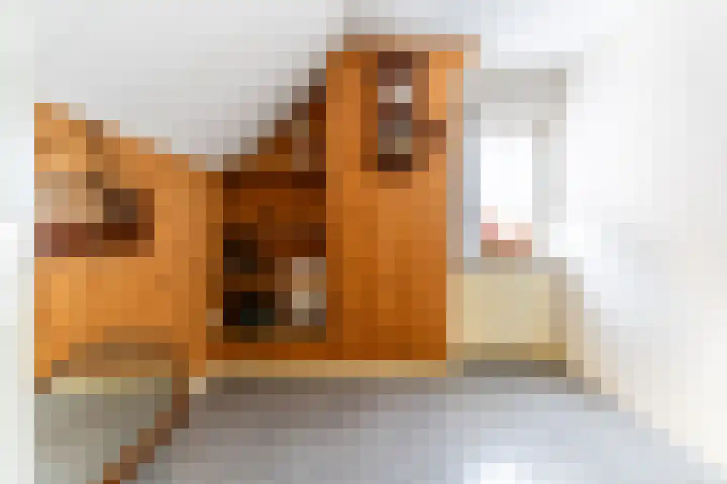 Bleijenhoek 67 Bladel thumbnail 39