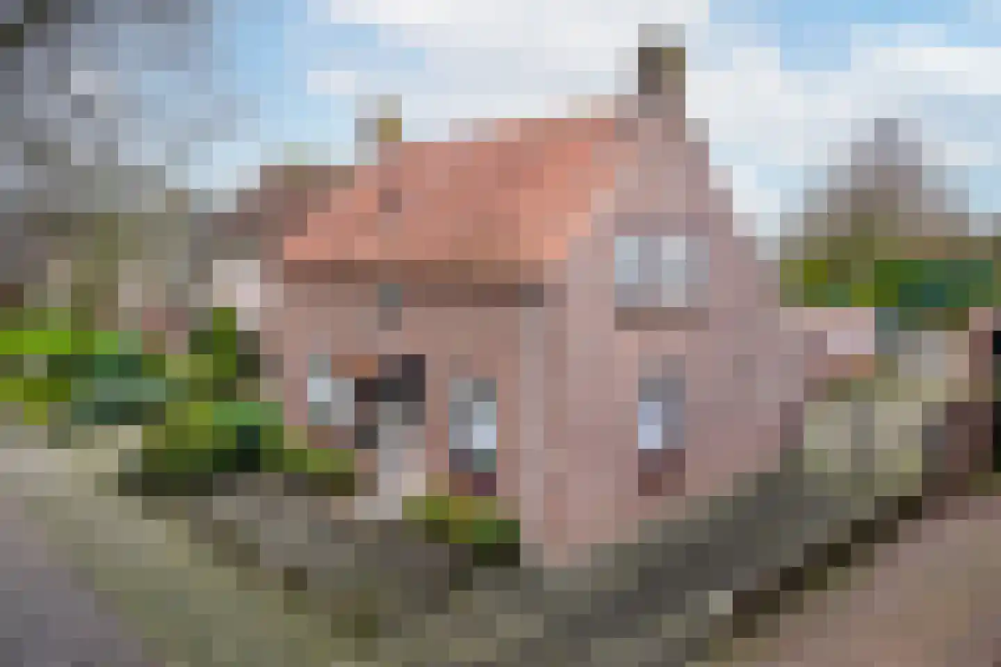 Bleijenhoek 67 Bladel thumbnail 48