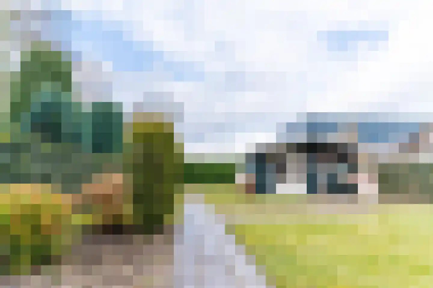 Bleijenhoek 67 Bladel thumbnail 51