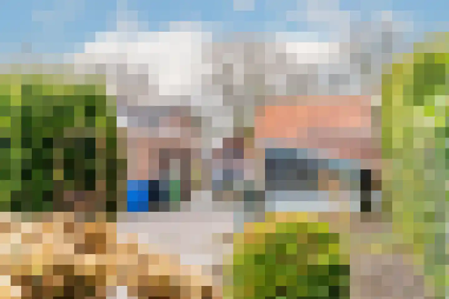 Bleijenhoek 67 Bladel thumbnail 54