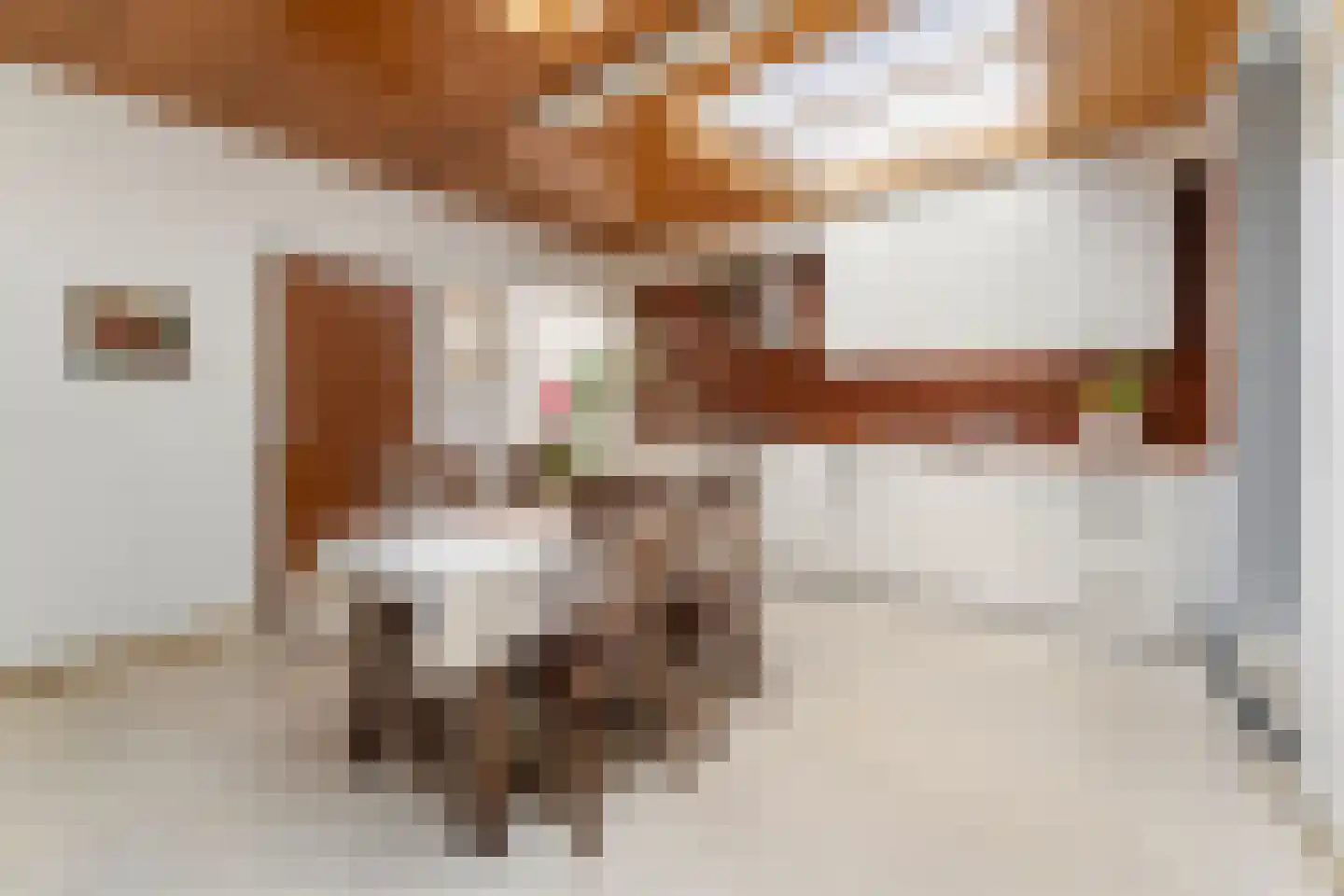 Bleijerheiderstraat 110 Kerkrade thumbnail 8