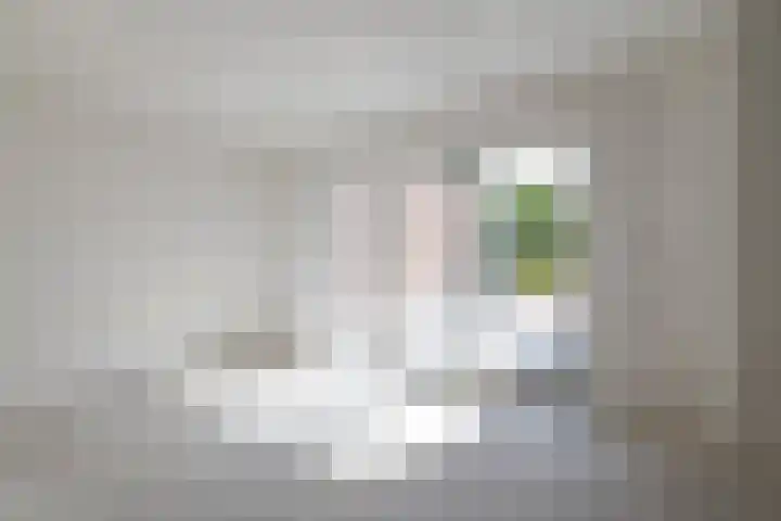 Bleijerheiderstraat 111 Kerkrade thumbnail 4