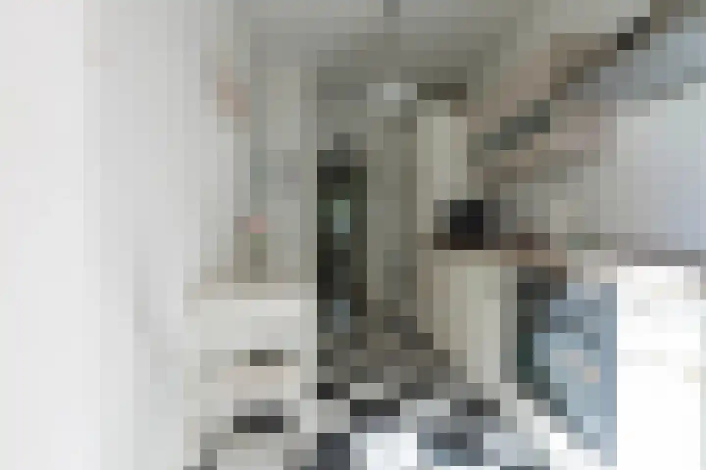 Bleijerheiderstraat 137 Kerkrade thumbnail 9