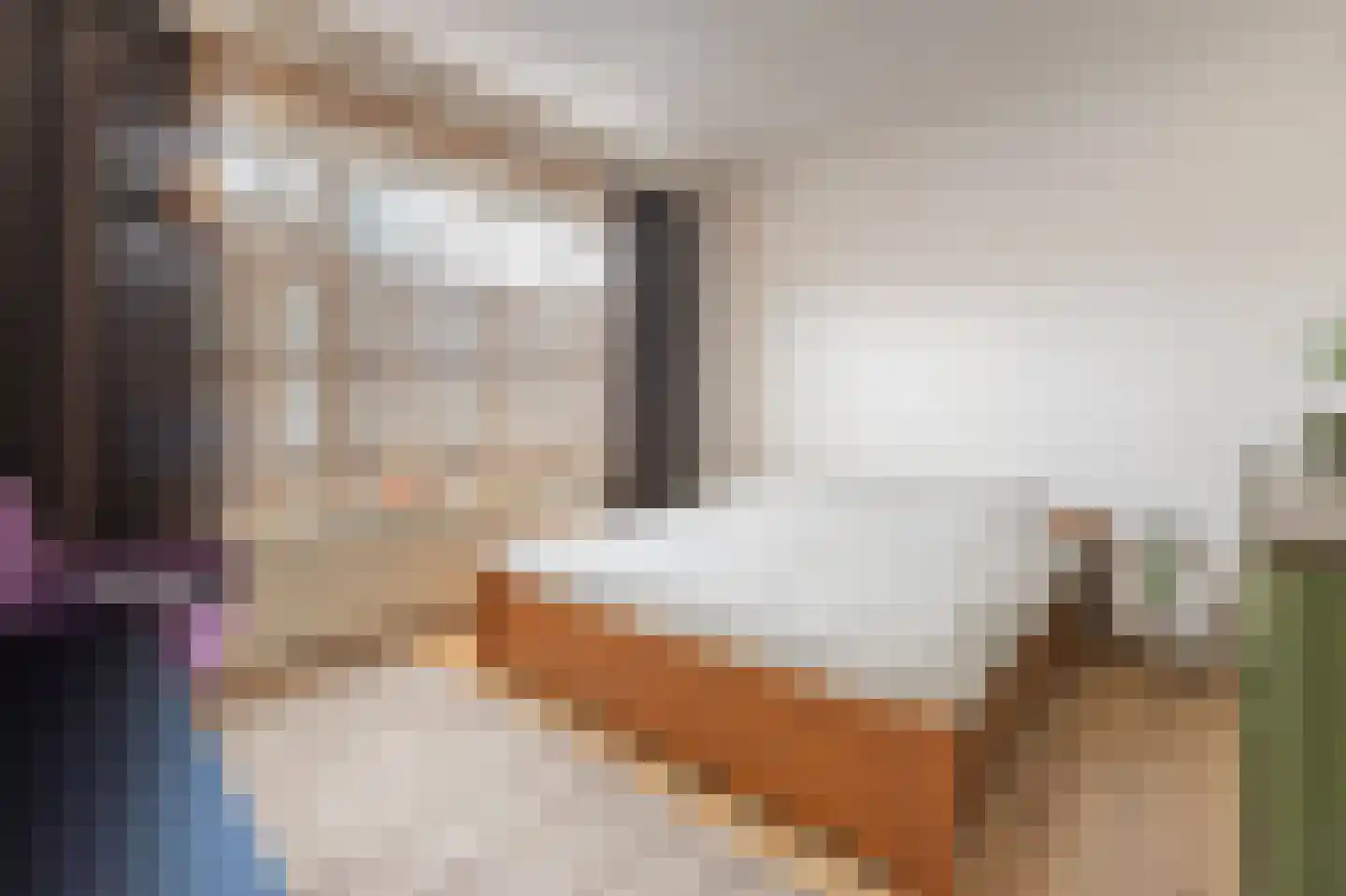 Bleijerheiderstraat 139 Kerkrade thumbnail 5