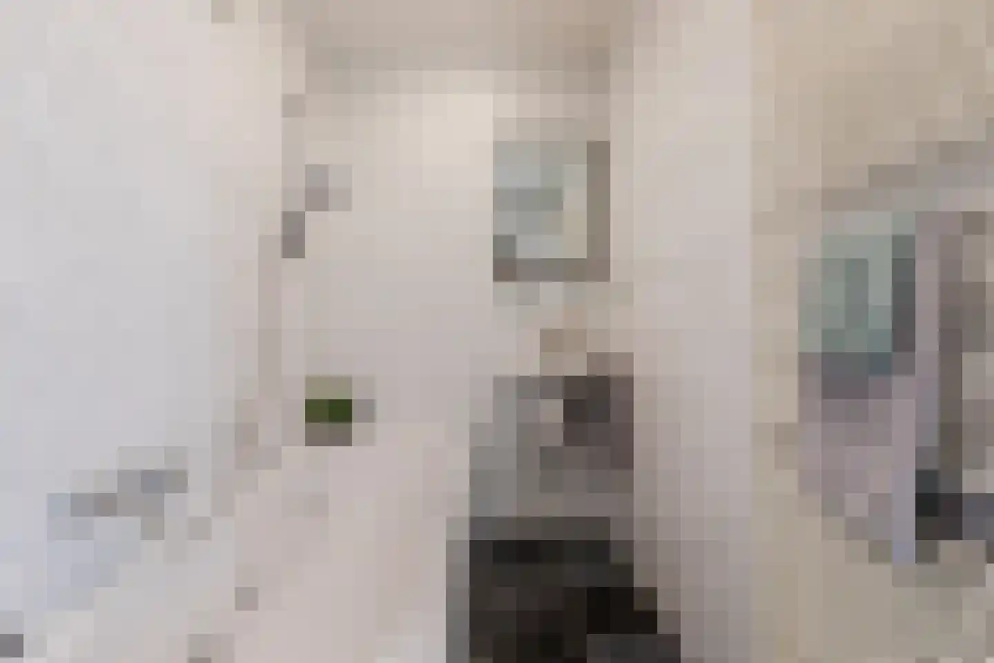 Bleijerheiderstraat 8 Kerkrade thumbnail 17