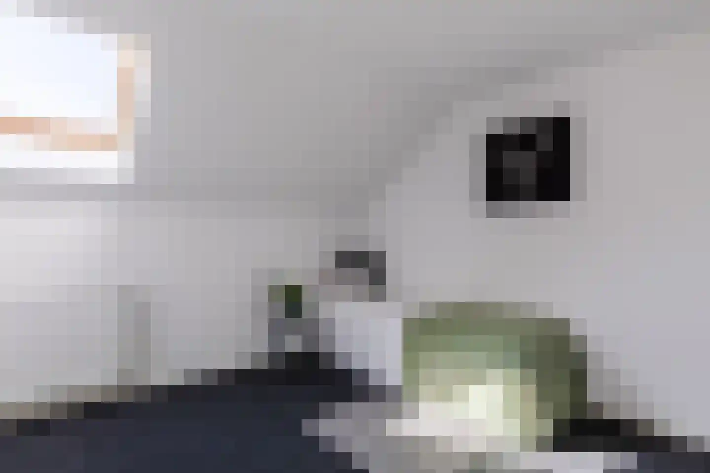 Bleijerheiderstraat 8 Kerkrade thumbnail 23