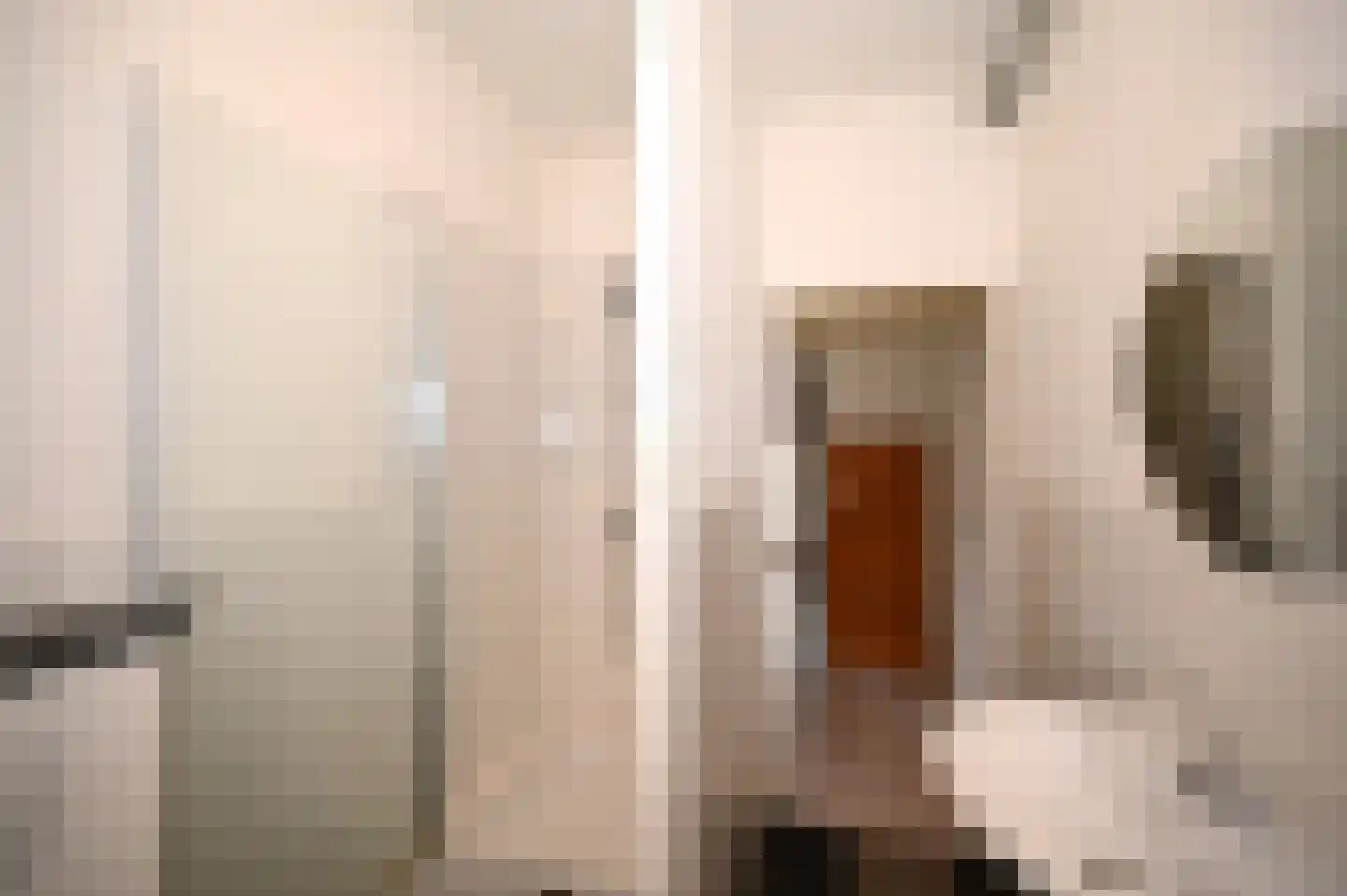 Bleijerheiderstraat 87 Kerkrade thumbnail 17