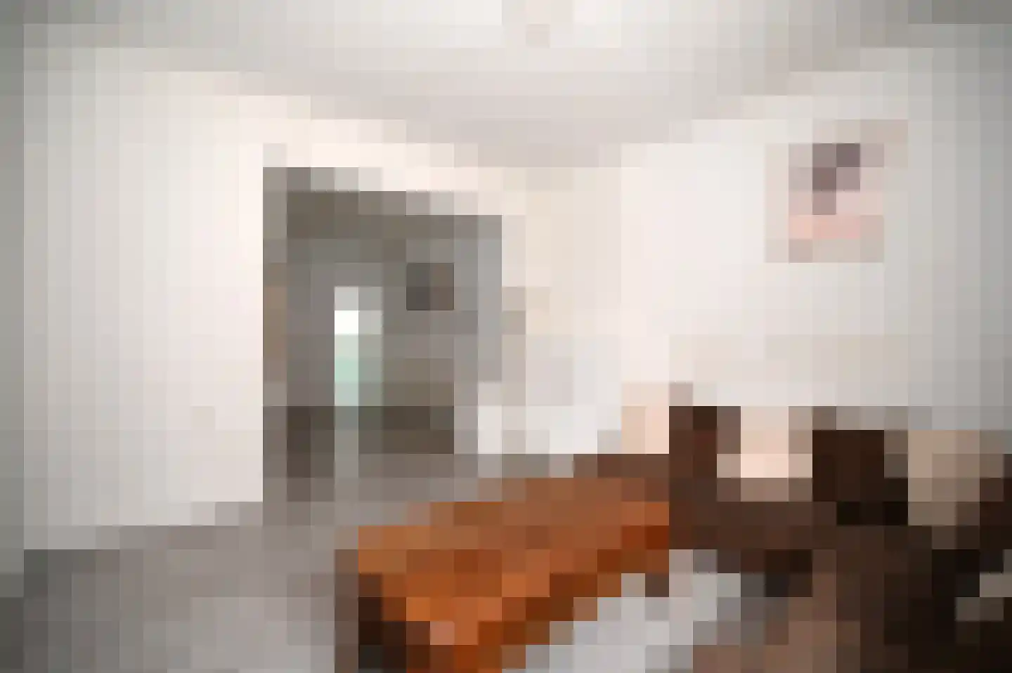 Bleijerheiderstraat 87 Kerkrade thumbnail 4