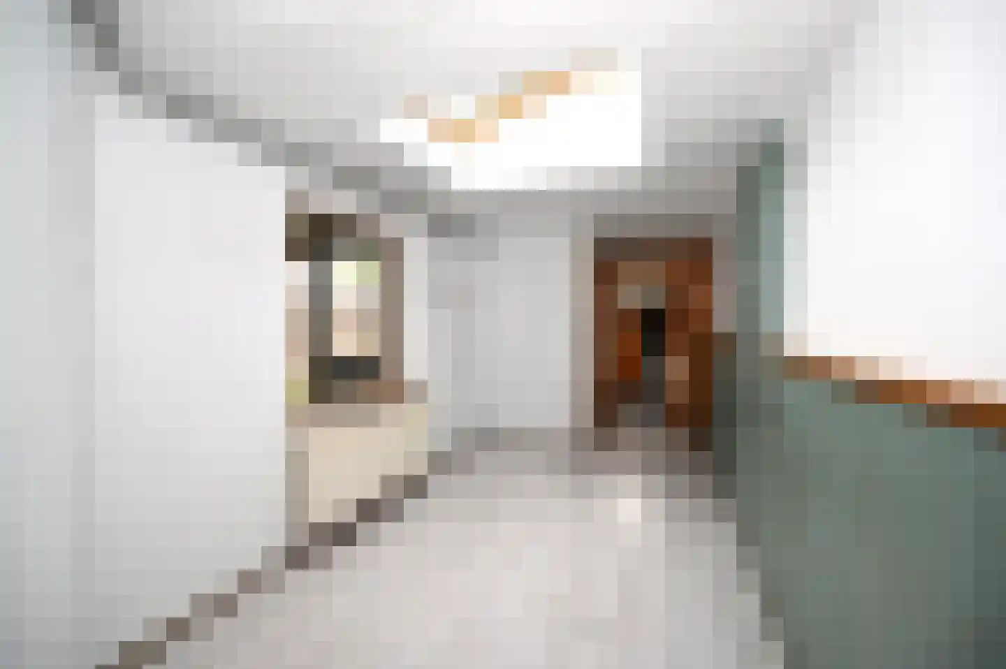 Bleijerheiderstraat 87 Kerkrade thumbnail 8