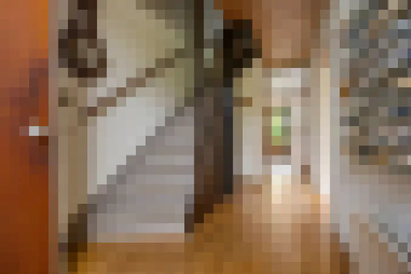 Bleiswijkpad 12 Arnhem thumbnail 11