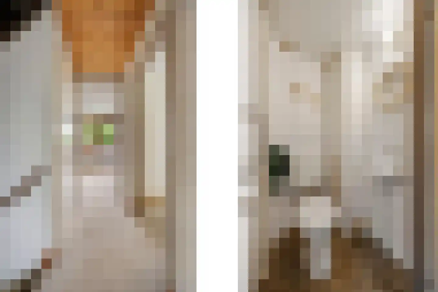 Bleiswijkpad 12 Arnhem thumbnail 12