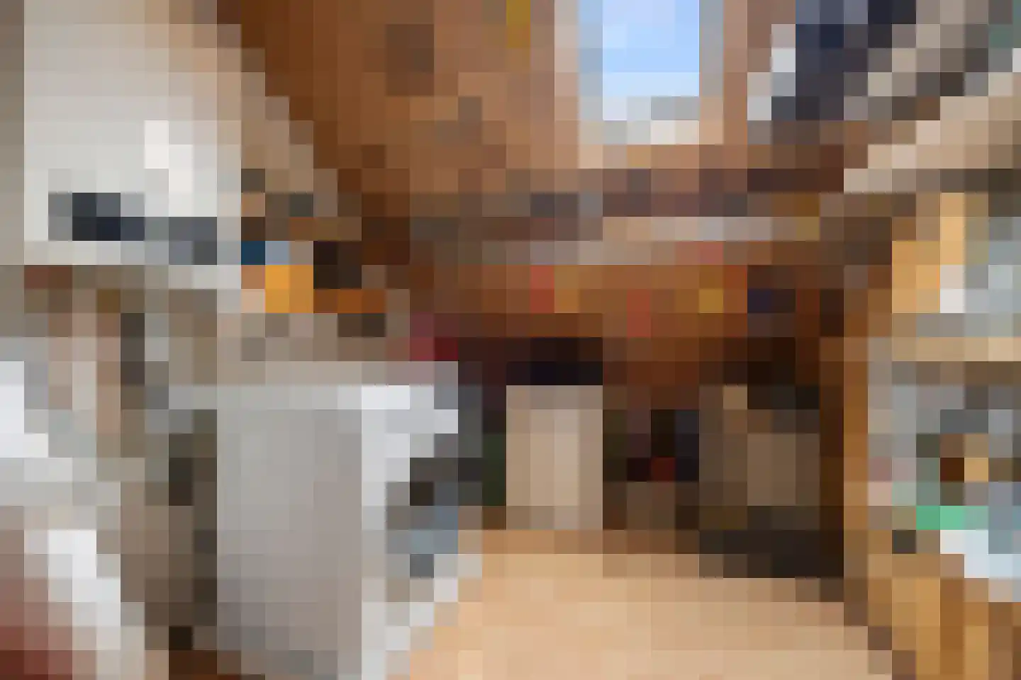 Bleiswijkpad 12 Arnhem thumbnail 23
