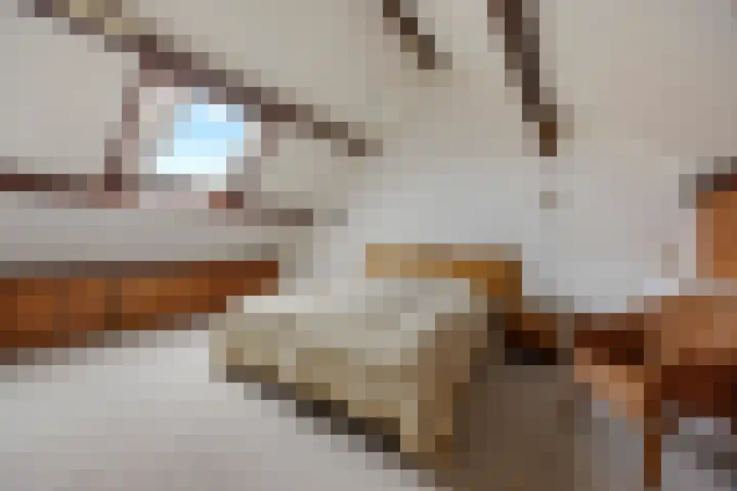 Bleiswijkpad 12 Arnhem thumbnail 24