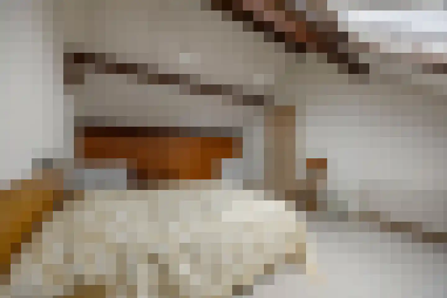 Bleiswijkpad 12 Arnhem thumbnail 25