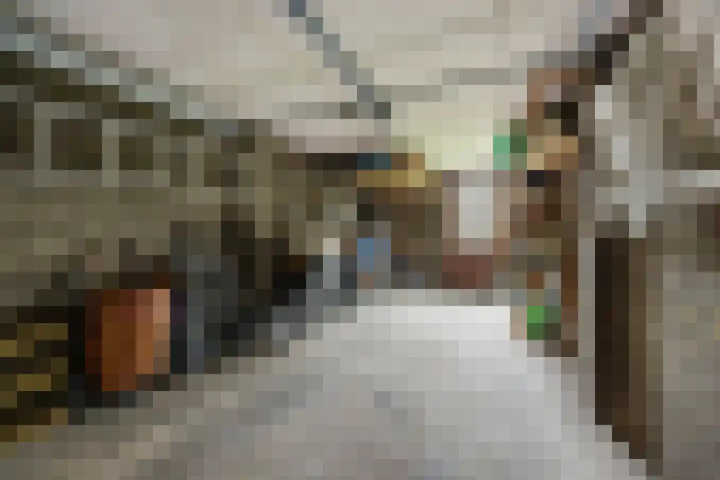 Bleiswijkpad 12 Arnhem thumbnail 29