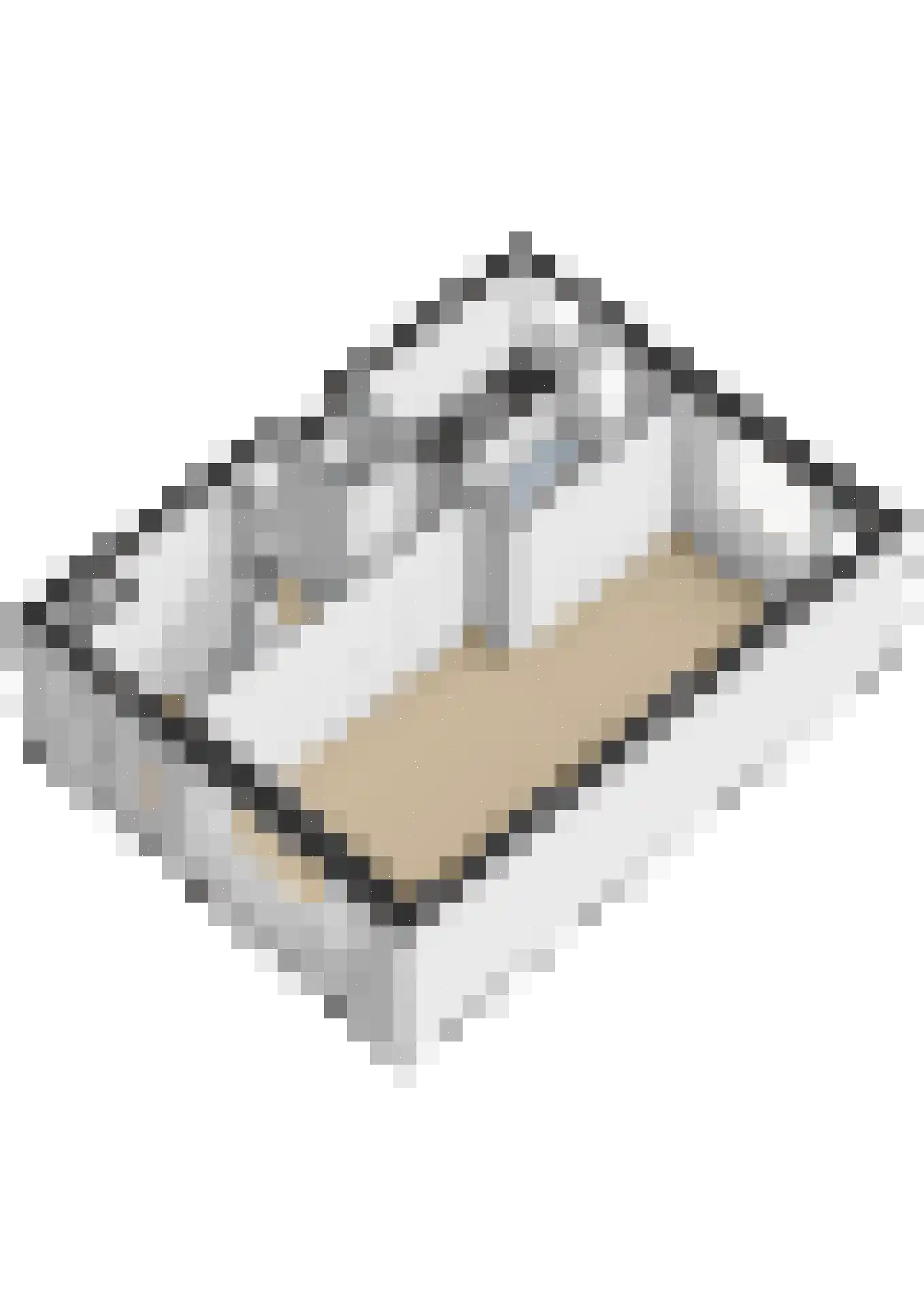 Bleiswijkpad 12 Arnhem thumbnail 37