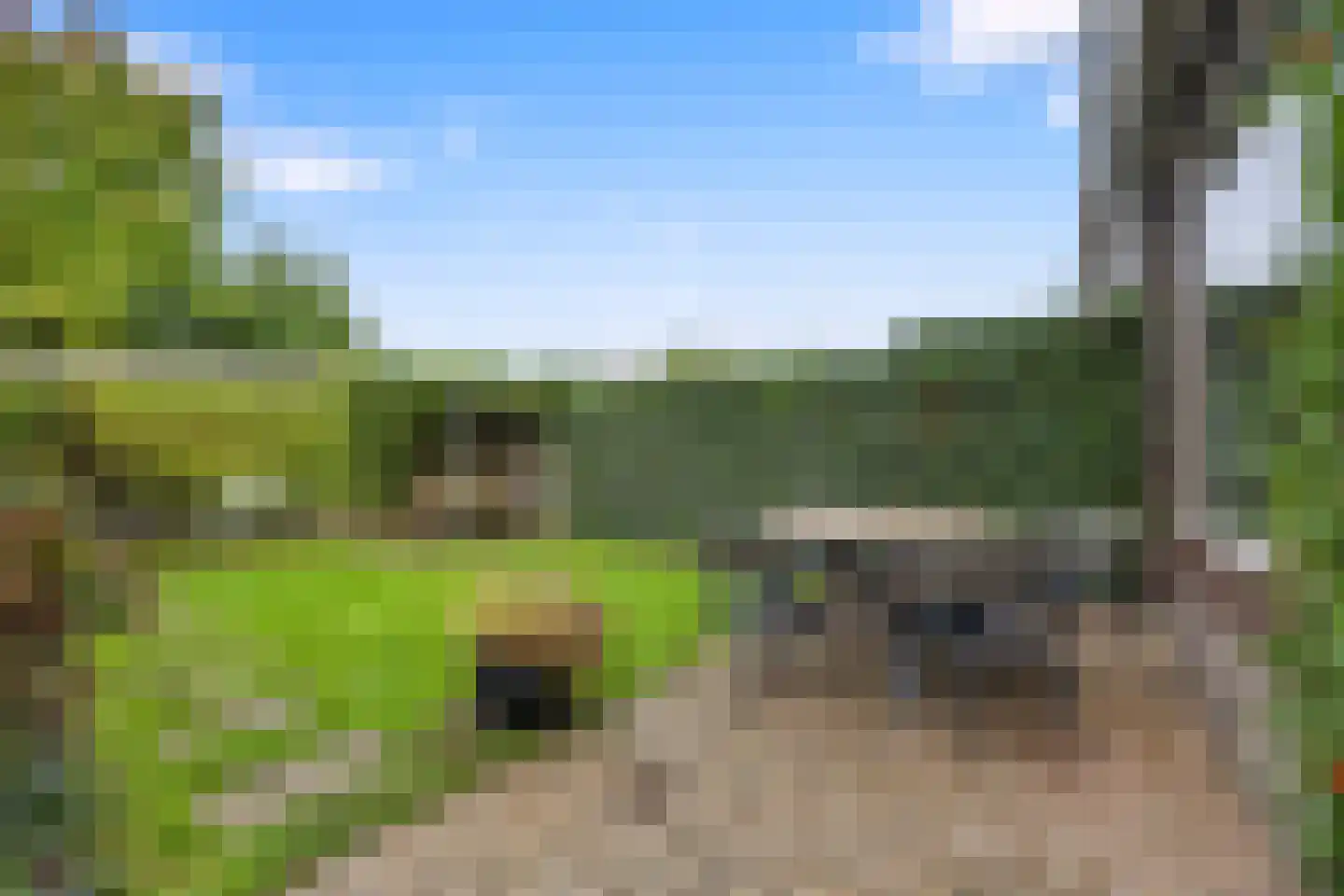 Bleiswijkpad 12 Arnhem thumbnail 4