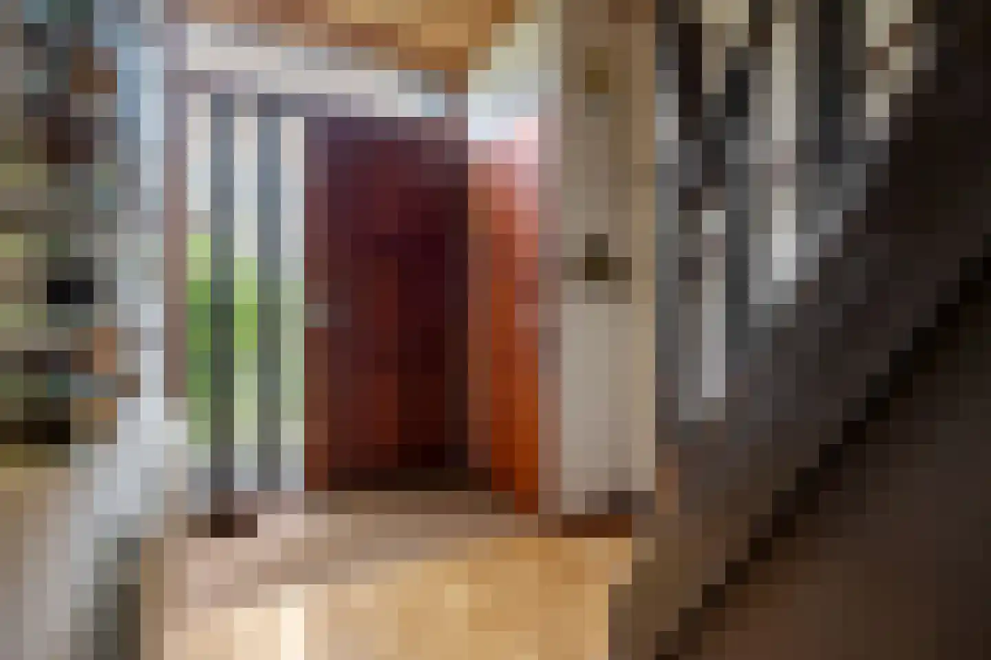 Bleiswijkpad 12 Arnhem thumbnail 5