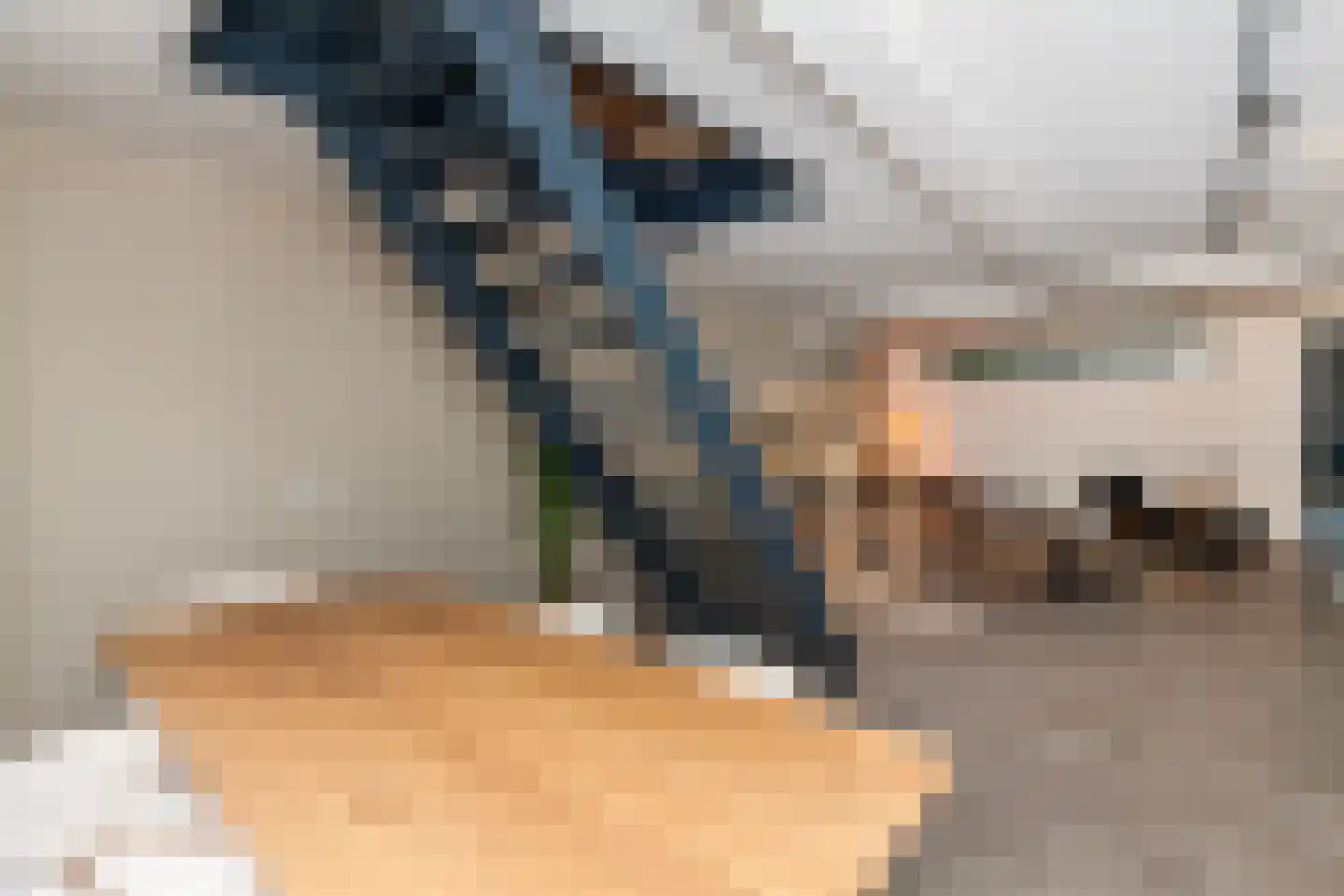 Bleiswijkseweg 1 A Zoetermeer thumbnail 12