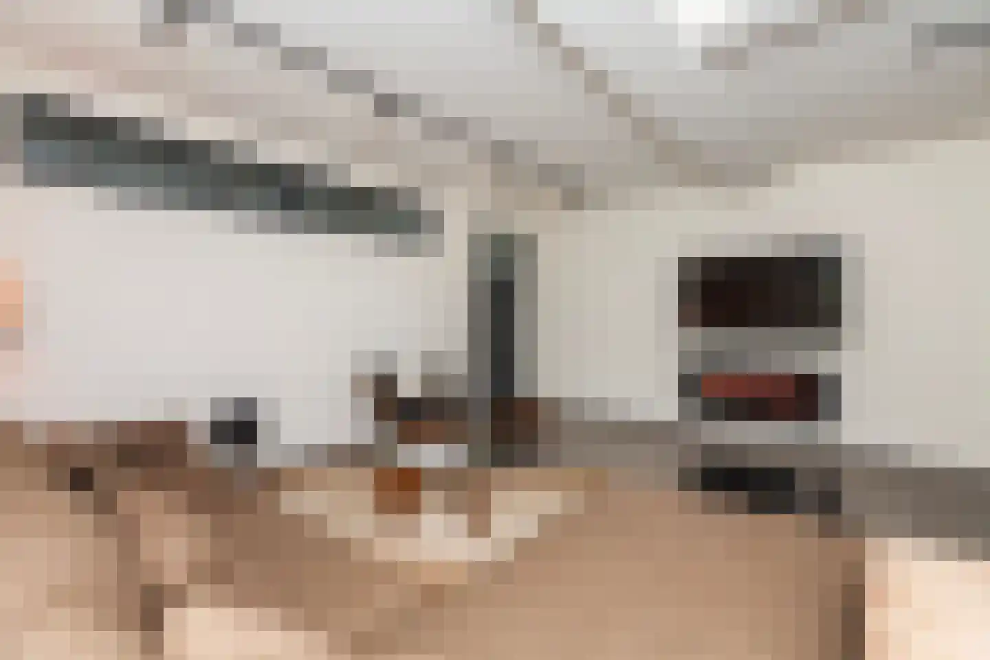 Bleiswijkseweg 1 A Zoetermeer thumbnail 7