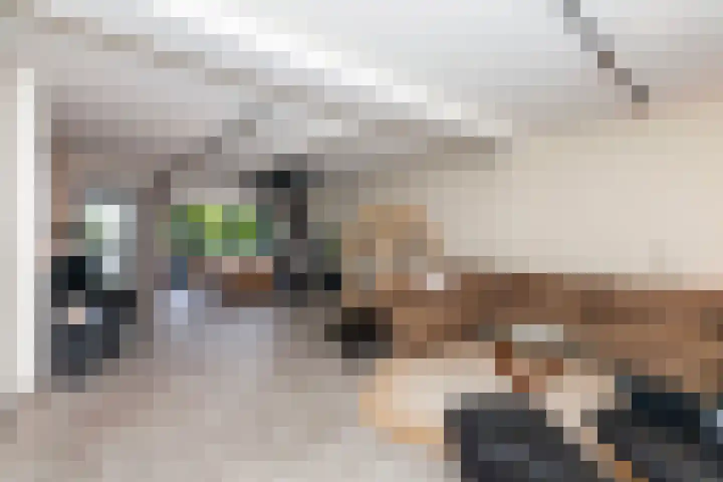 Bleiswijkseweg 1 A Zoetermeer thumbnail 8