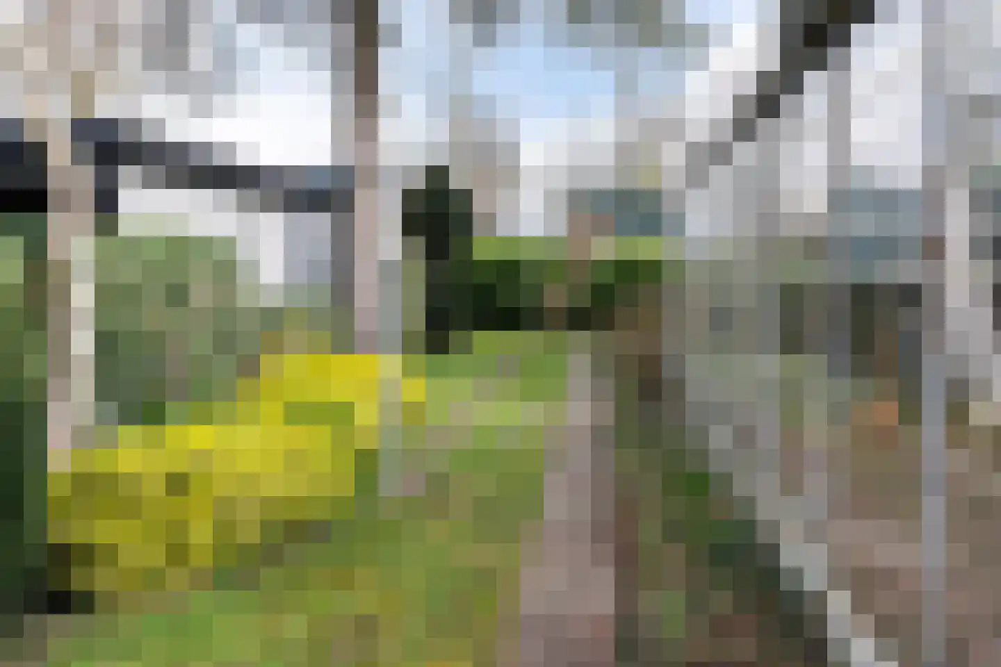 Bleiswijkseweg 80 Zoetermeer thumbnail 33
