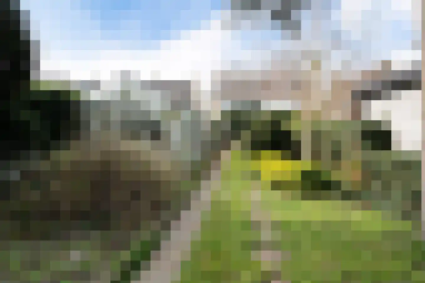 Bleiswijkseweg 80 Zoetermeer thumbnail 35