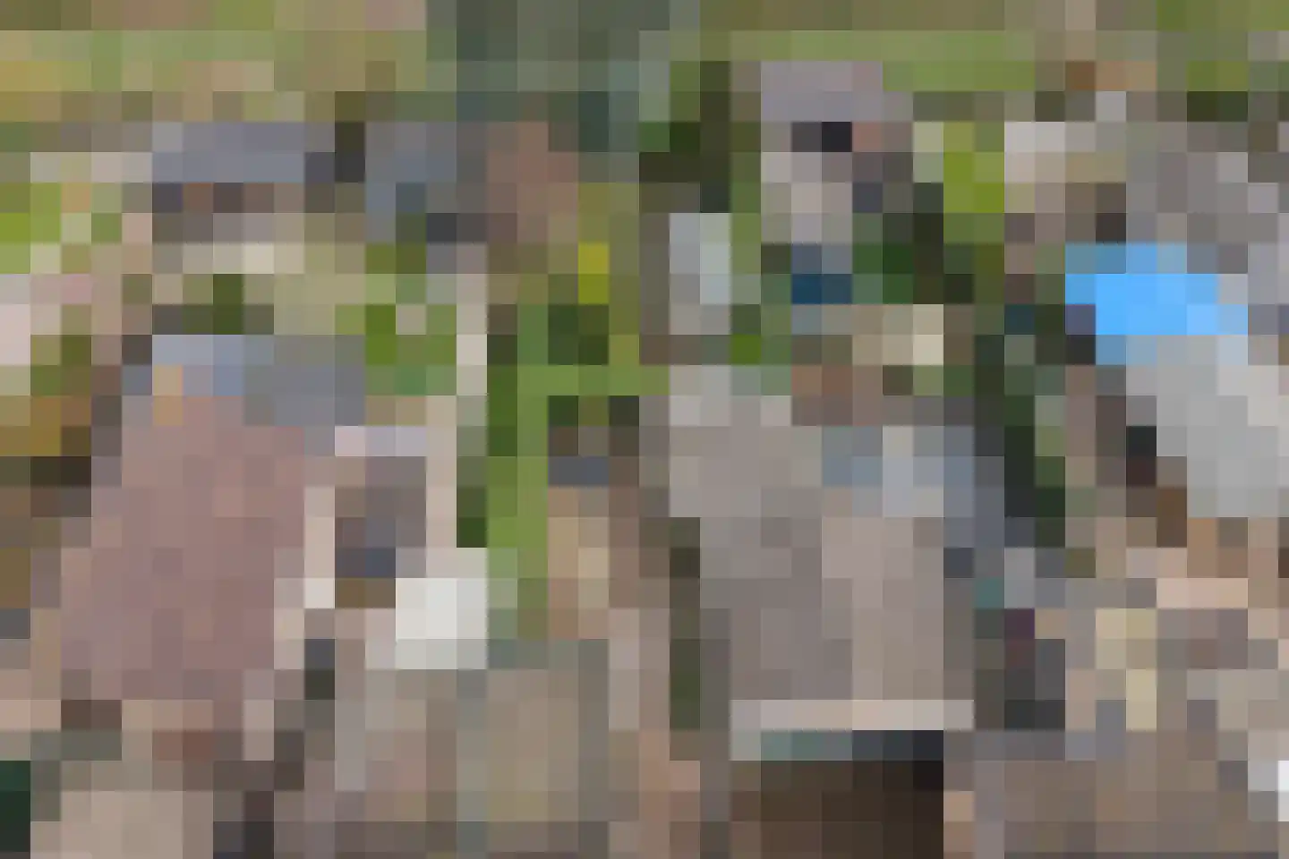 Bleiswijkseweg 80 Zoetermeer thumbnail 36