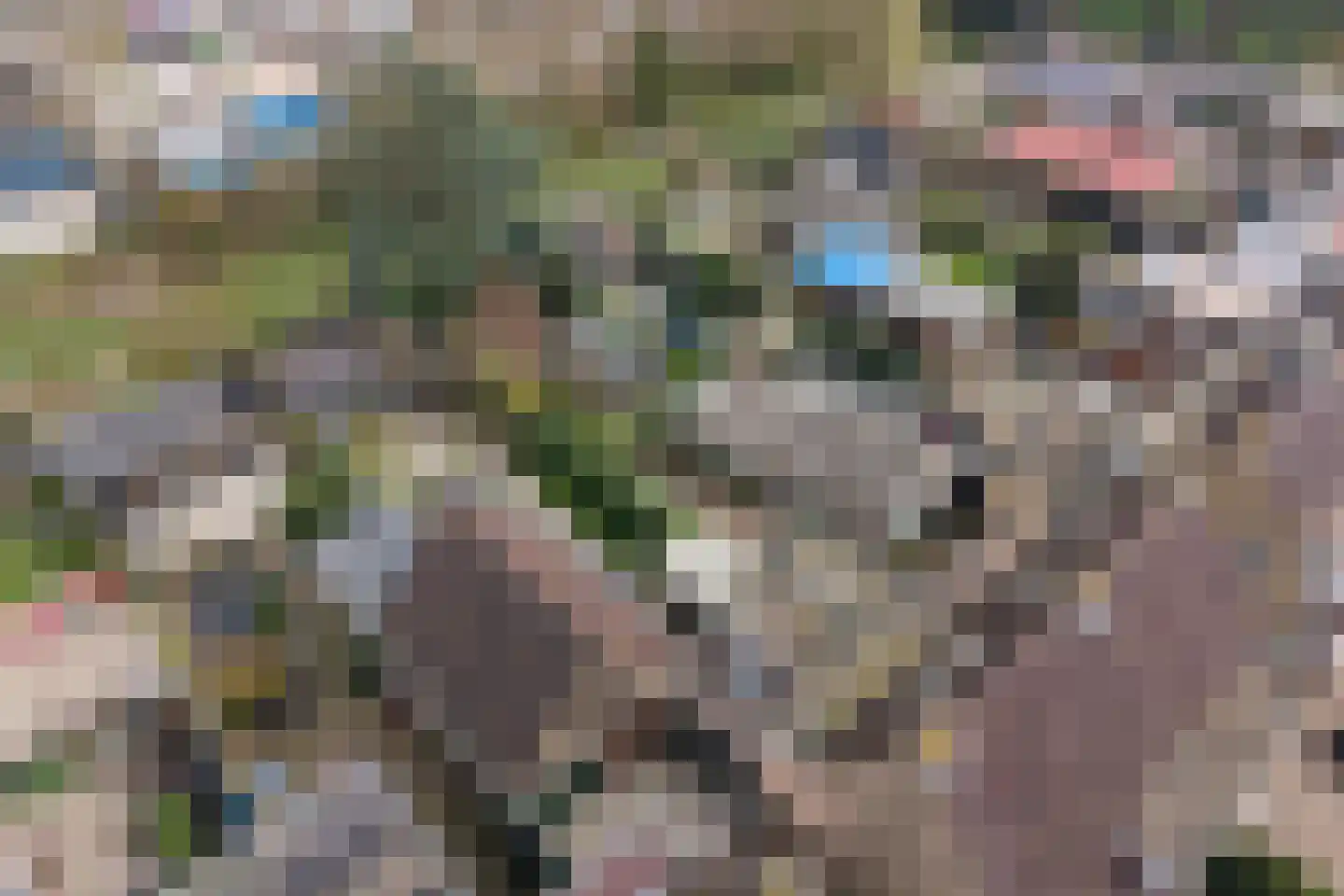 Bleiswijkseweg 80 Zoetermeer thumbnail 58