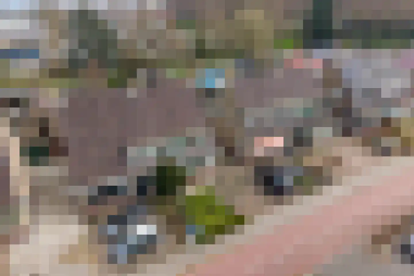 Bleiswijkseweg 80 Zoetermeer thumbnail 59