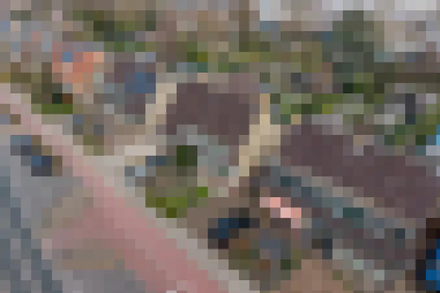 Bleiswijkseweg 80 Zoetermeer thumbnail 6