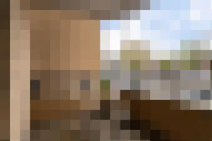 Bleiswijkstraat 19 Rotterdam thumbnail 14