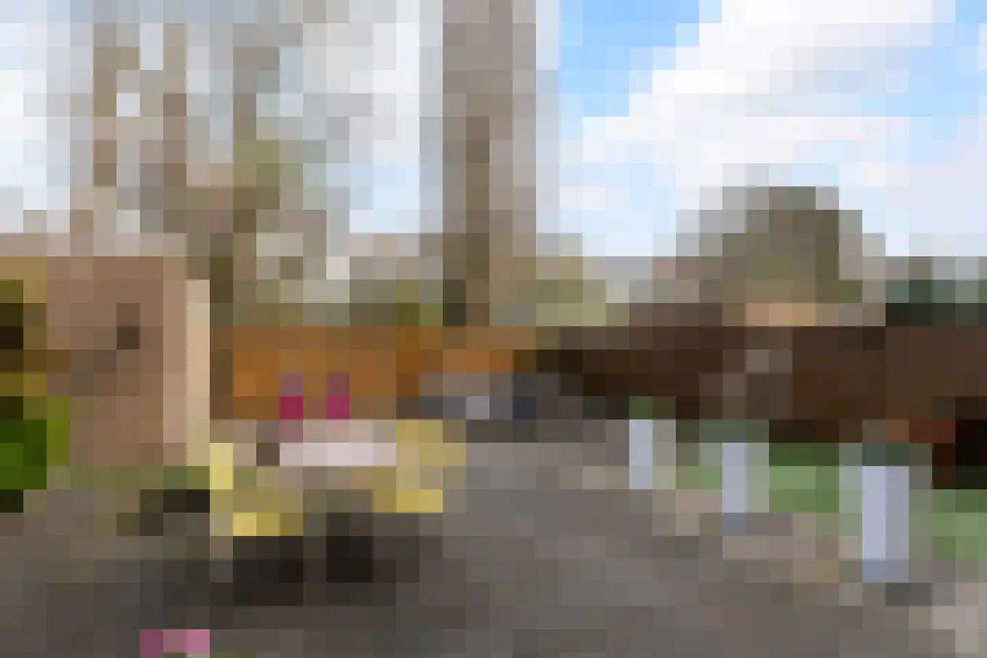Bleiswijkstraat 27 Rotterdam thumbnail 14