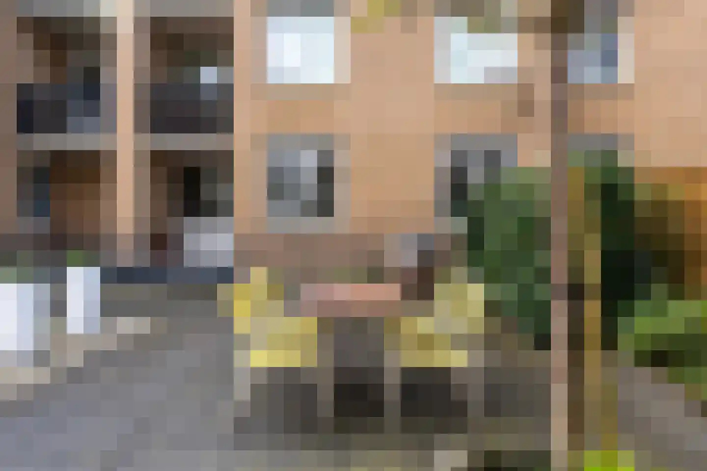 Bleiswijkstraat 27 Rotterdam thumbnail 17