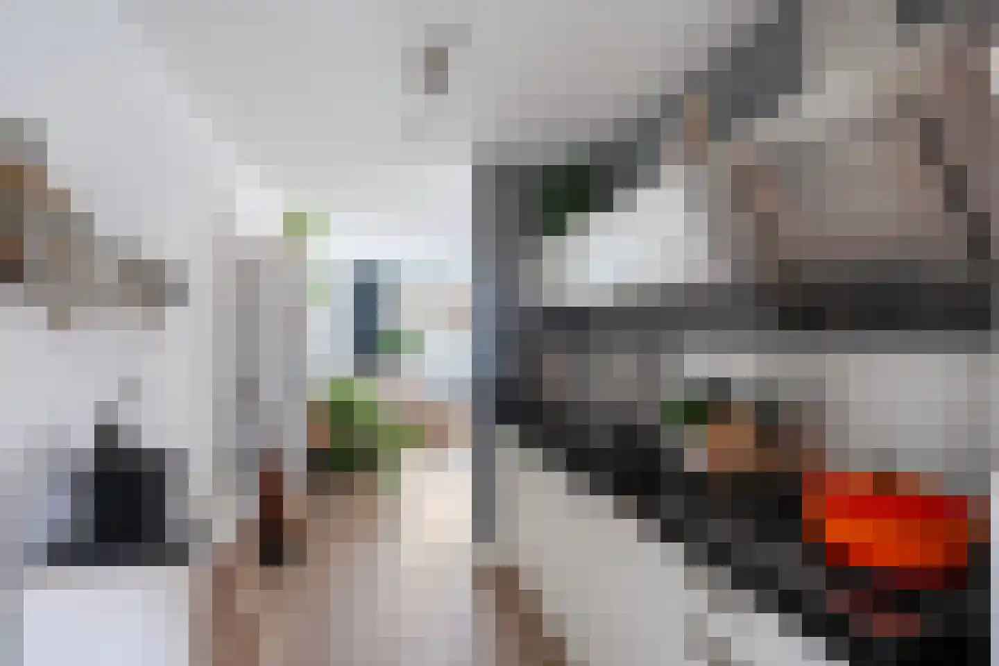 Bleiswijkstraat 27 Rotterdam thumbnail 19