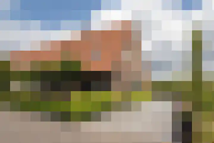 Blekemeer 20 Uddel