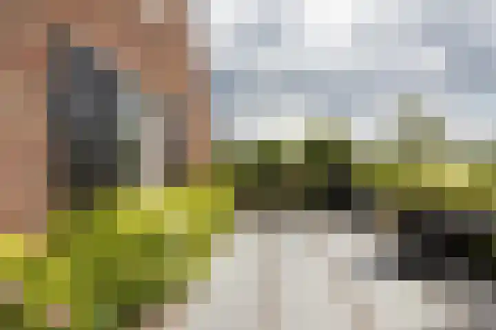 Blekemeer 20 Uddel thumbnail 10